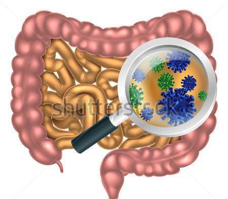 Божествена Светлина ЕООД - град София | Алтернативна и източна медицина - снимка 6