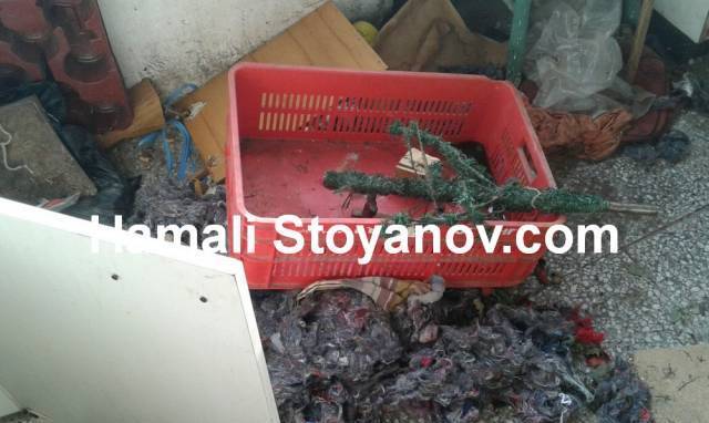 Хамали Стоянов - град София | Услуги - снимка 5