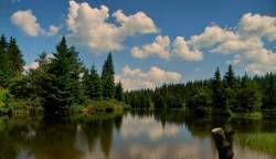 Планински Рай" ЕООД - село Момчиловци | Агенции за недвижими имоти - снимка 4