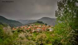 Виталити Традишънс" ООД, village Momchilovtsi | Travel Agencies and Tour Operators - снимка 4