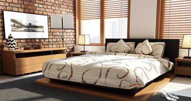 Уоол Премиум ЕООД - град Пловдив | Дейности - снимка 3