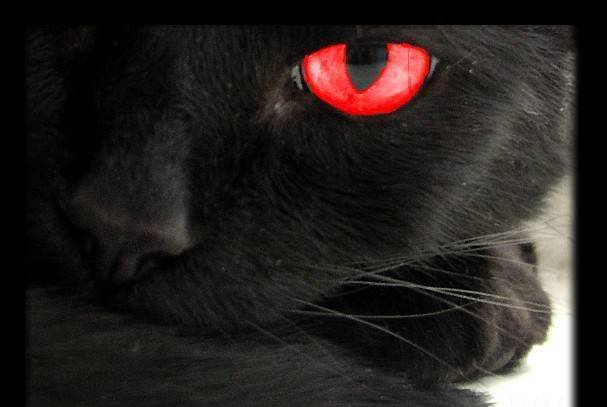 Мира Стил 15 - град Варна | Шивашка промишленост и услуги