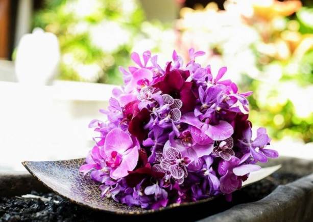 Вселена Орхидея ЕООД - град София | Дейности