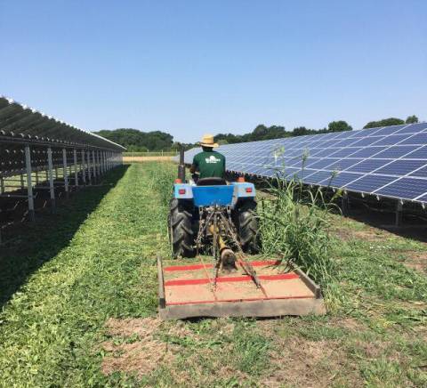 Без Трева - град Ямбол | Услуги