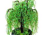 Сувенир - Декоративно дърво Плачеща върба от мъниста - 38 см