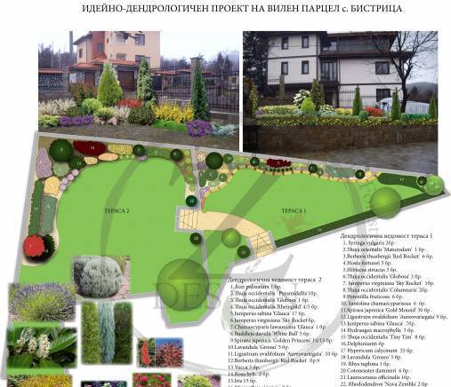 Зи Дизайн ЕООД - град Стара Загора | Ландшафт и озеленяване - снимка 2