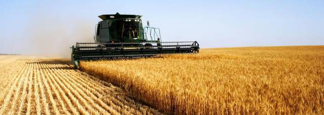 AngelovStroi Ltd - град Разград | Услуги - снимка 5