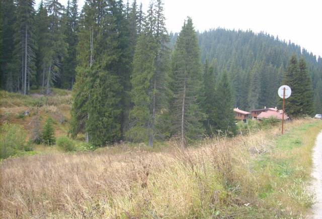 Продавам парцел на Пампорово За жил.строителство, 2800 м2 - к.к. Пампорово | Парцели / Земя - снимка 2