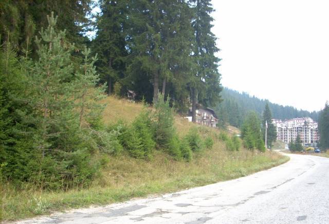 Продавам парцел на Пампорово За жил.строителство, 2800 м2 - к.к. Пампорово | Парцели / Земя - снимка 5