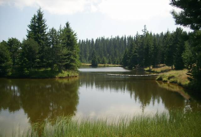 Продавам парцел Хайдушки ливади За жил.строителство, Виза, 605 м2 - к.к. Пампорово | Парцели / Земя - снимка 1