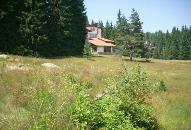 Продавам парцел Хайдушки ливади За жил.строителство, Виза, 605 м2 - к.к. Пампорово | Парцели / Земя - снимка 2