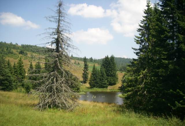 Продавам парцел Хайдушки ливади За жил.строителство, Виза, 605 м2 - к.к. Пампорово | Парцели / Земя - снимка 3