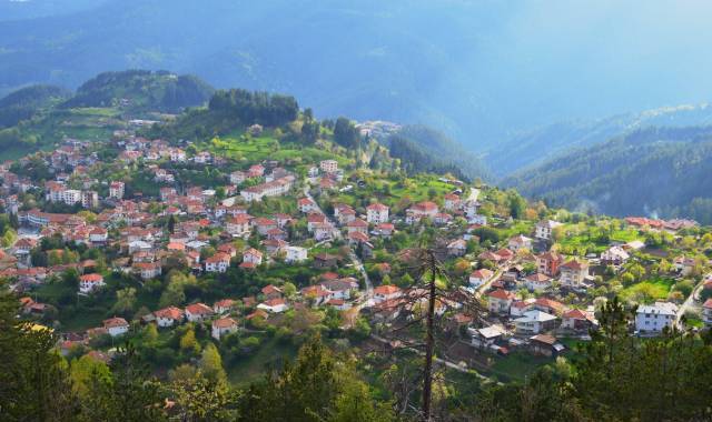 Планински Рай ЕООД - село Момчиловци | Агенции за недвижими имоти - снимка 6