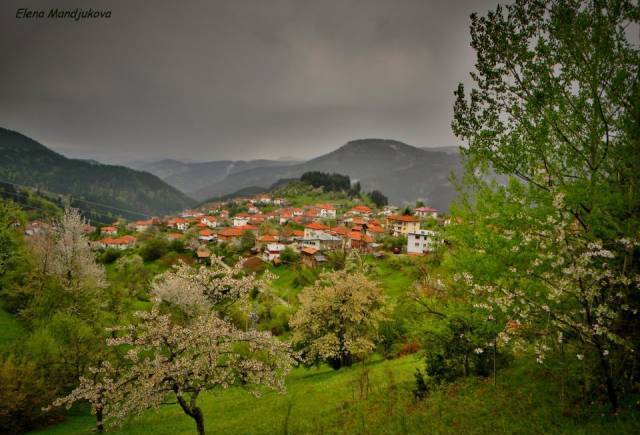 Виталити Традишънс ООД, село Момчиловци | Туристически агенции и туроператори - снимка 2