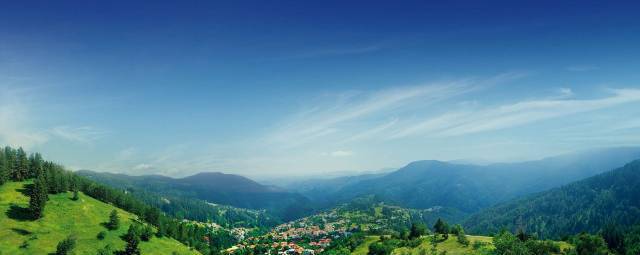 Виталити Традишънс ООД, село Момчиловци | Туристически агенции и туроператори - снимка 4