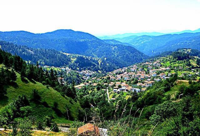 Виталити Традишънс ООД, село Момчиловци | Туристически агенции и туроператори - снимка 5