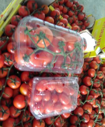 Итал Трейд ЕООД - град Варна | Плодове и зеленчуци - снимка 1