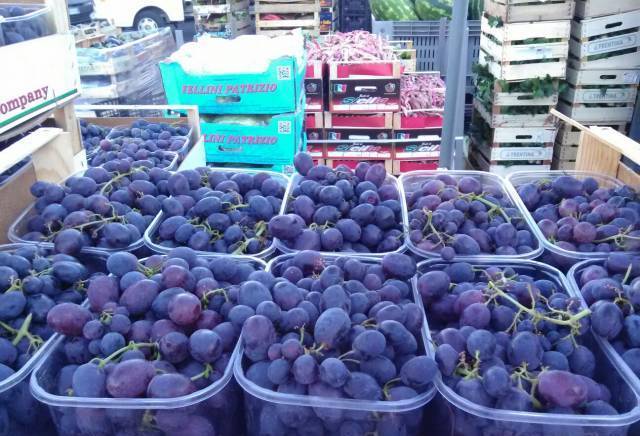 Итал Трейд ЕООД - град Варна | Плодове и зеленчуци - снимка 2