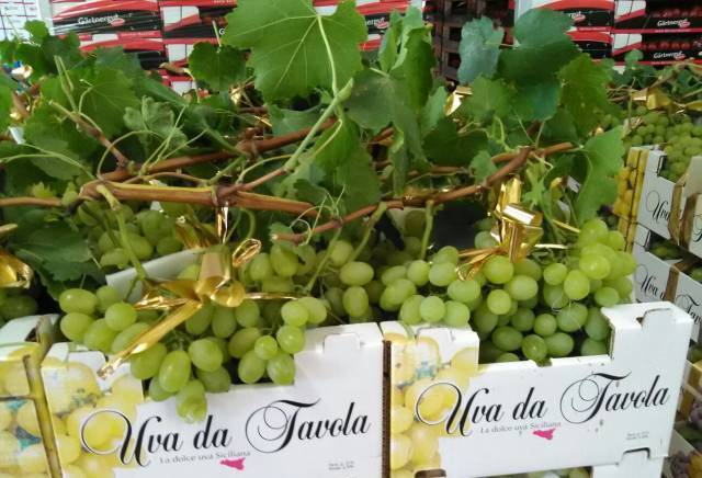 Итал Трейд ЕООД - град Варна | Плодове и зеленчуци - снимка 3