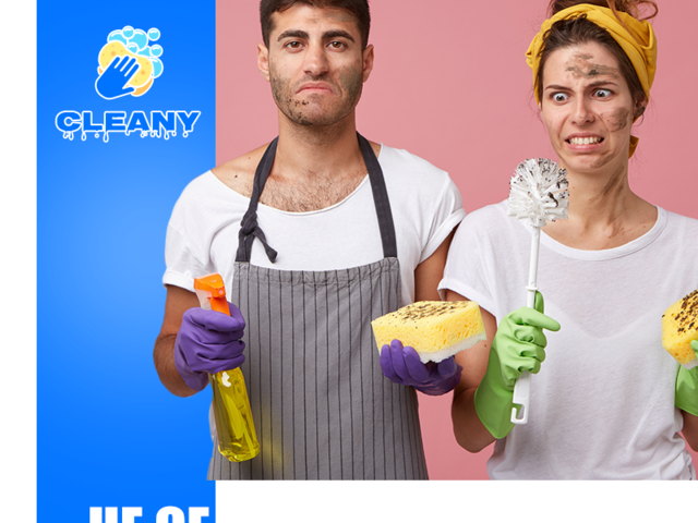 Клийни ООД - град София | Почистване и поддръжка - снимка 1