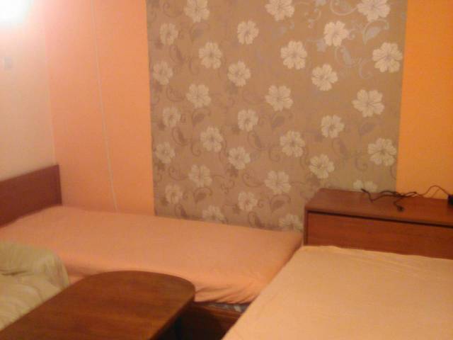 Къща срещу парка Internet, Cable TV, Furnished, Parking, Balcony, TV, In the Center, Near by Shop, Near by Park, Near by Food Store - city of Banya | Lodging - снимка 5