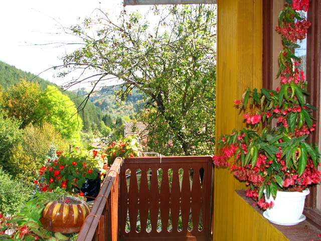 Продавам вила в курорт Шипково 2-floor, Brick, 70 m2 - city of Troyan | Houses & Villas - снимка 7