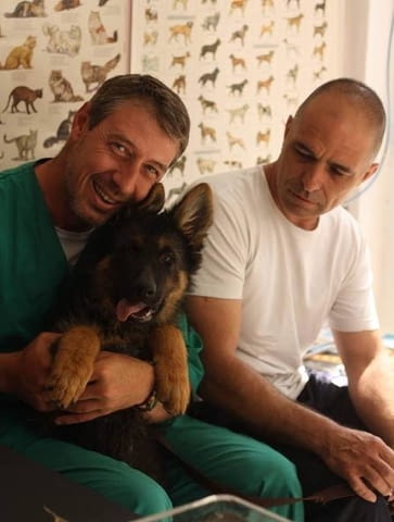 Ветеринарна амбулатория ВЕТ, град Стара Загора | Ветеринарна медицина и лечебници - снимка 1