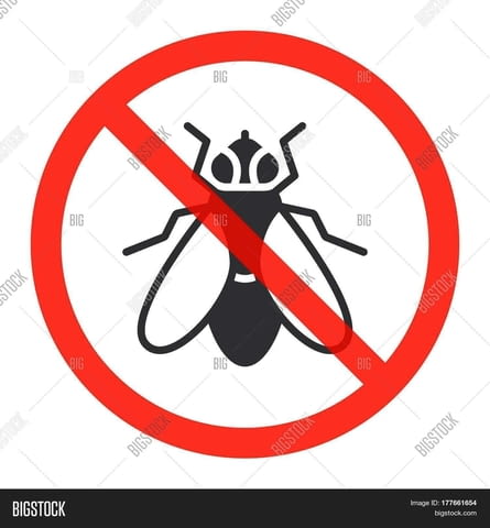 ЕТ Дино 81 - град Бургас | Услуги - снимка 1