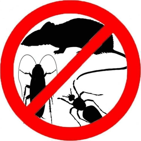 ЕТ Дино 81 - град Бургас | Услуги - снимка 2