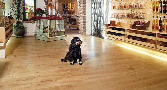 Ууд Сълюшънс 2014 ЕООД - град Перник | Подови настилки - снимка 2