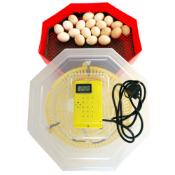 Продавам инкубатор, нови, заводски, официален вносител на Румънски инкубатори - снимка 1