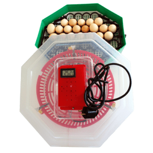 Продавам инкубатор, нови, заводски, официален вносител на Румънски инкубатори - снимка 8