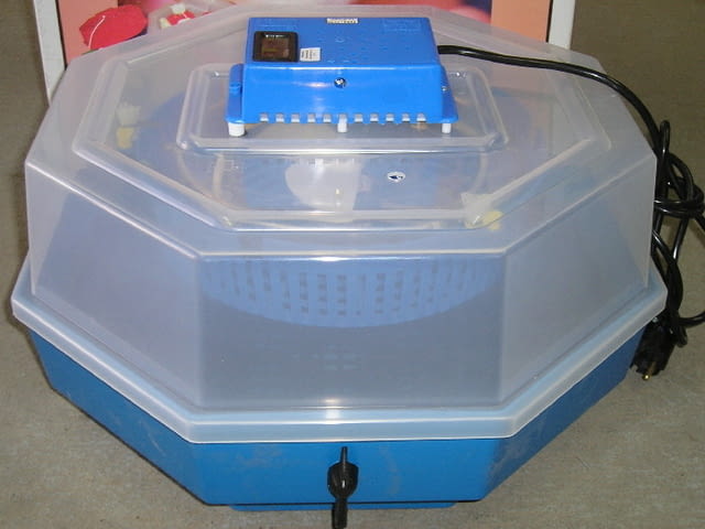 Продавам инкубатор, нови, заводски, официален вносител на Румънски инкубатори - снимка 12