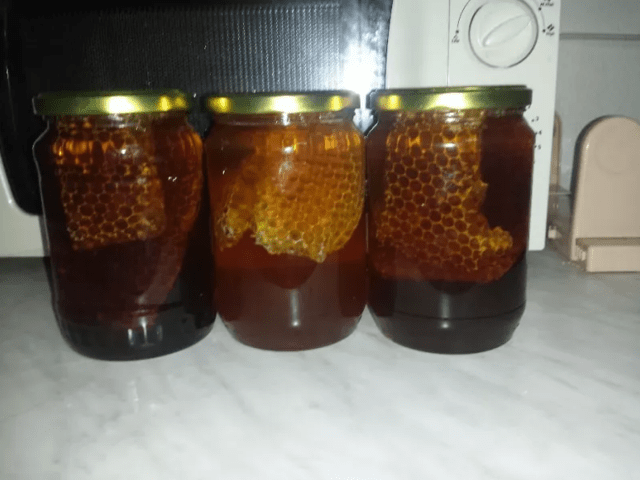 Продавам кестенов пчелен мед - city of Pеtrich | Herbal Products - снимка 2