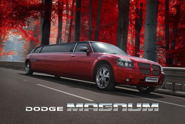 Рожден ден в лимузина – Вашето лично мобилно заведение, city of Sofia | Birthdays - снимка 1