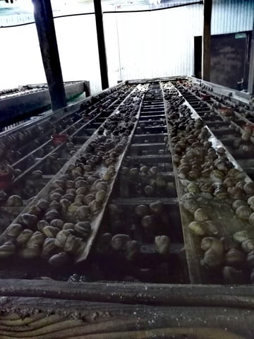 Хеликс ООД - city of Kardzhali | Animals Growing and Slaughterhouse - снимка 1