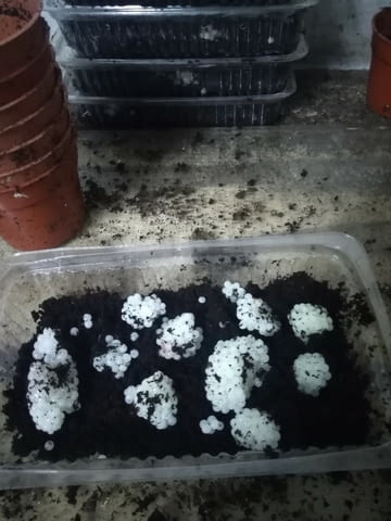 Хеликс ООД - city of Kardzhali | Animals Growing and Slaughterhouse - снимка 2