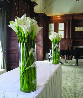 Глас Декор ЕООД - град Варна | Стъкло, порцелан и керамика - снимка 7