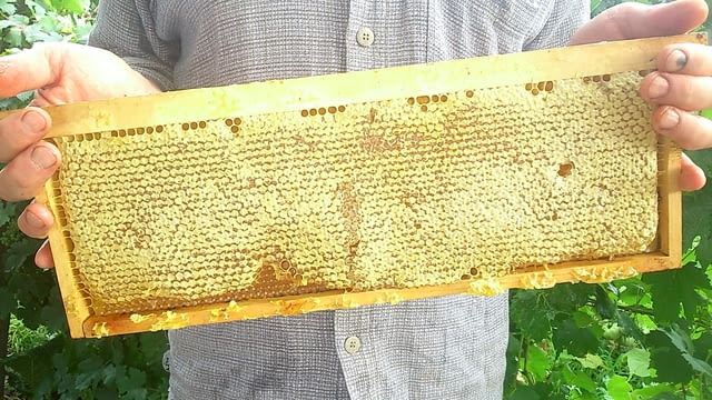 Пчелни полуизградени пластмасови основи - city of Burgas | Other - снимка 2