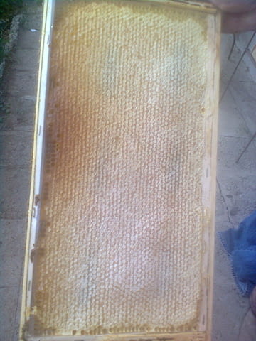 Пчелни полуизградени пластмасови основи - град Бургас | Други - снимка 3