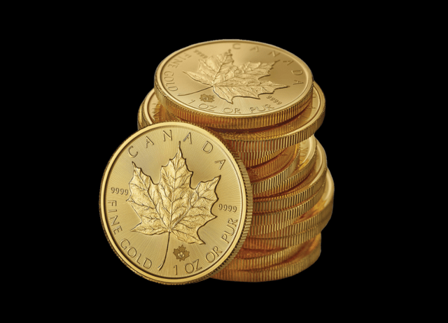 Айголд ЕООД - град София | Инвестиционна Дейност - снимка 2