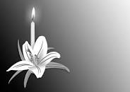 Траурни услуги и консултации Лилия
