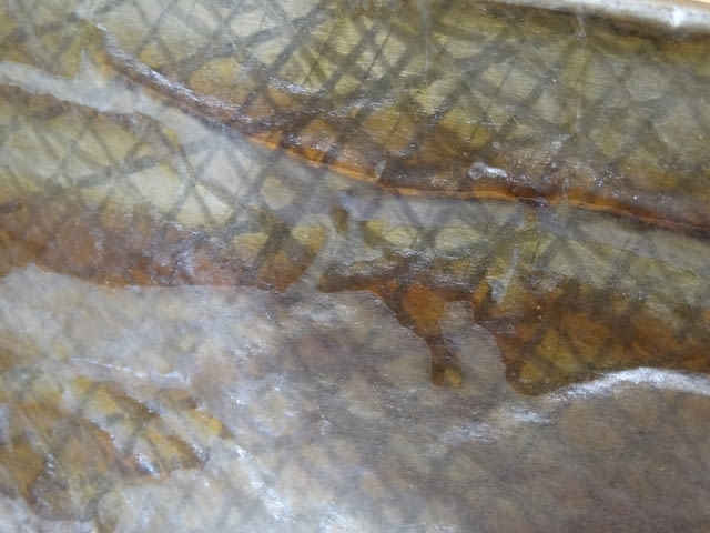 Проверовъчна линия L-630 , 45 градуса, city of Plovdiv | Industrial Equipment - снимка 6