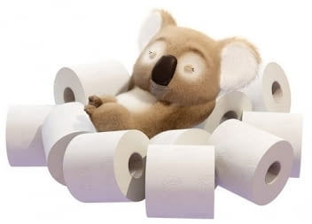 Хигиенни консумативи от хартия, диспенсъри, дозатори, препарати, сешоари - снимка 2