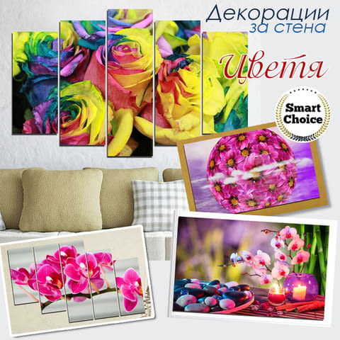 Даяна - Смарт ЕООД - град София | Дейности - снимка 2