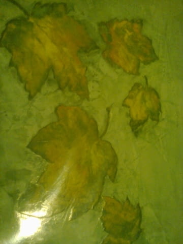 Шпакловка Боядисване Декоративни Мазилки Работа през уикенд - Да - град София | Строителни Услуги - снимка 5