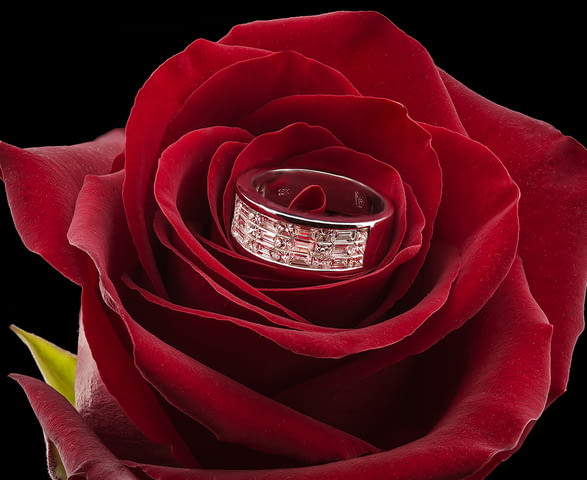 Даймъндс Форевър ЕООД - град София | Бижутерия и бижутериини услуги - снимка 8