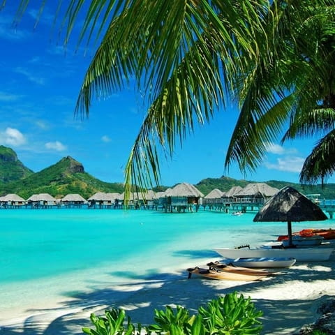 Виктори ЕООД - град София | Туристически агенции и туроператори - снимка 12