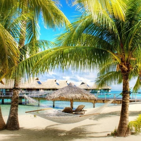 Виктори ЕООД - град София | Туристически агенции и туроператори - снимка 11