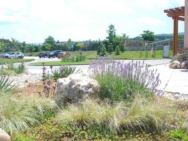 Озеленяване София - град София | Ландшафт и озеленяване - снимка 4